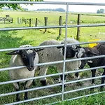 شقة Amrum Auf Dem Holmhof Poppenbull
