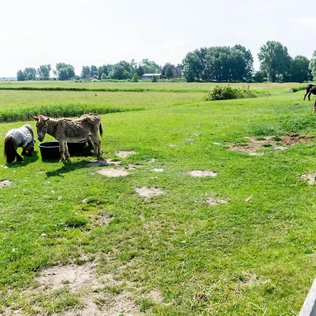 Apartmán Amrum Auf Dem Holmhof