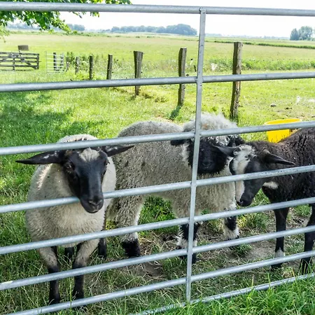 Apartmán Amrum Auf Dem Holmhof Poppenbull